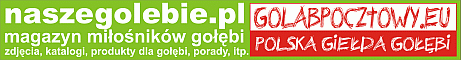 Serwis po�wi�cony go��biom pocztowym
