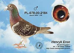 pl-078-00-2184-c.jpg