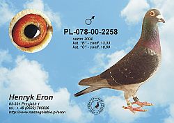 pl-078-00-2258-c.jpg