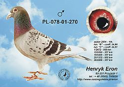 pl-078-01-270-c.jpg