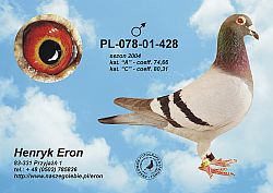 pl-078-01-428-c.jpg