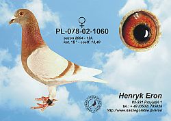 pl-078-02-1060-h.jpg