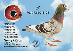 pl-078-02-1125-c.jpg