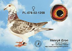 pl-078-02-1258-h.jpg