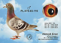 pl-078-03-115-c.jpg