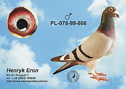 pl-078-99-866-c.jpg