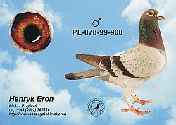 pl-078-99-900-c.jpg