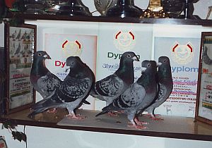 fot_012.jpg