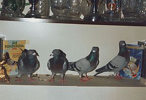 fot_013.jpg