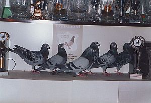 fot_014.jpg