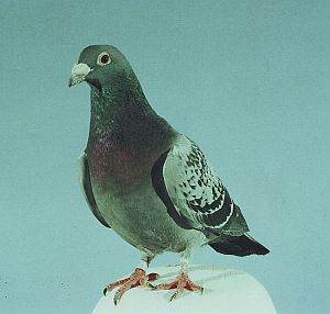 fot_024.jpg