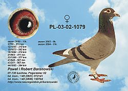 pl-03-02-1079-h.jpg