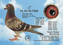 pl-03-03-7028-c.jpg