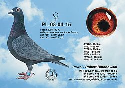 pl-03-04-15-h.jpg