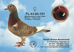 pl-03-04-151-h.jpg