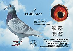 pl-03-04-17-c.jpg