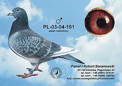 pl-03-04-191-c.jpg