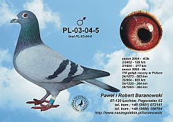 pl-03-04-5-c.jpg