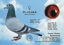 pl-03-04-6-h.jpg