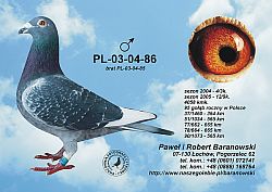pl-03-04-86-h.jpg